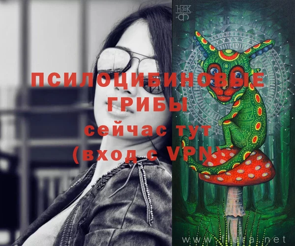 прущий лед Абаза